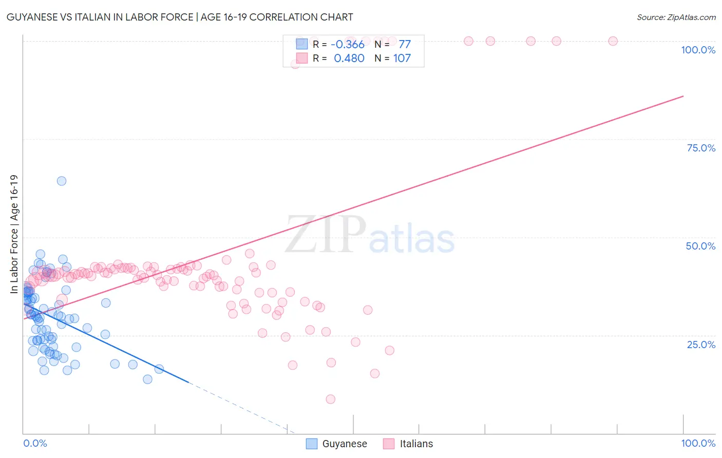 Guyanese vs Italian In Labor Force | Age 16-19