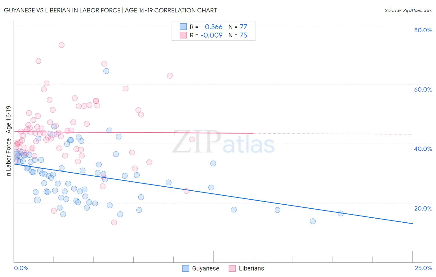 Guyanese vs Liberian In Labor Force | Age 16-19