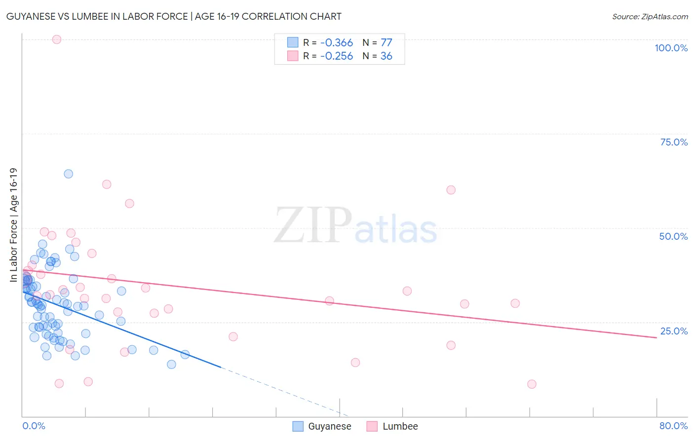 Guyanese vs Lumbee In Labor Force | Age 16-19