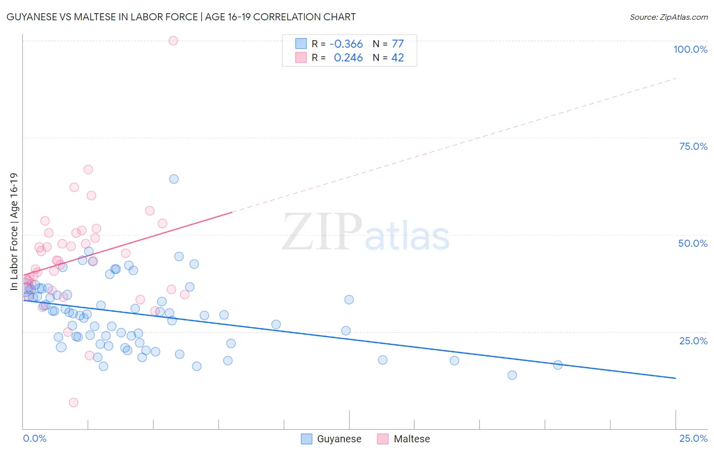 Guyanese vs Maltese In Labor Force | Age 16-19