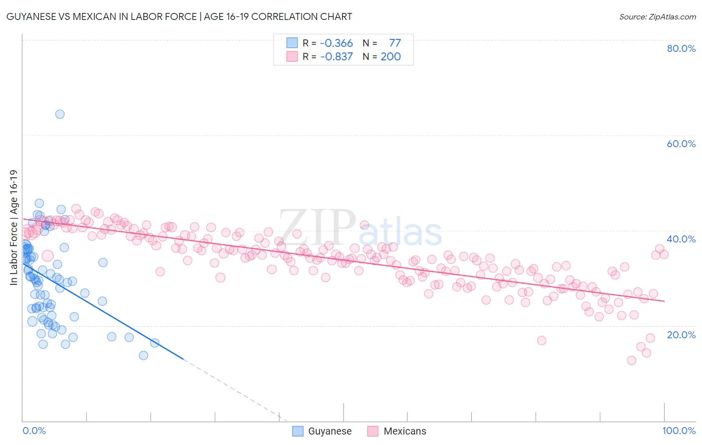 Guyanese vs Mexican In Labor Force | Age 16-19