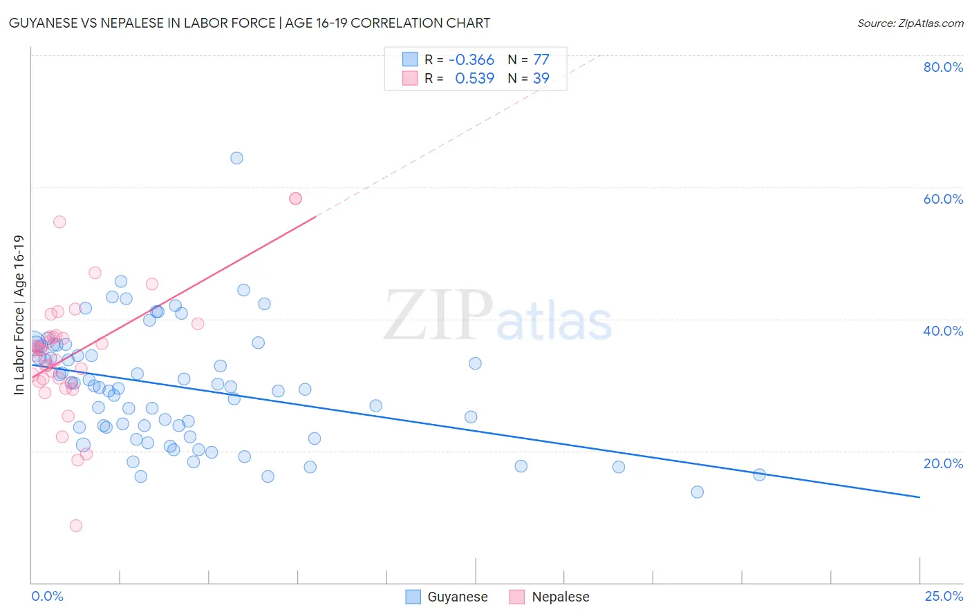 Guyanese vs Nepalese In Labor Force | Age 16-19