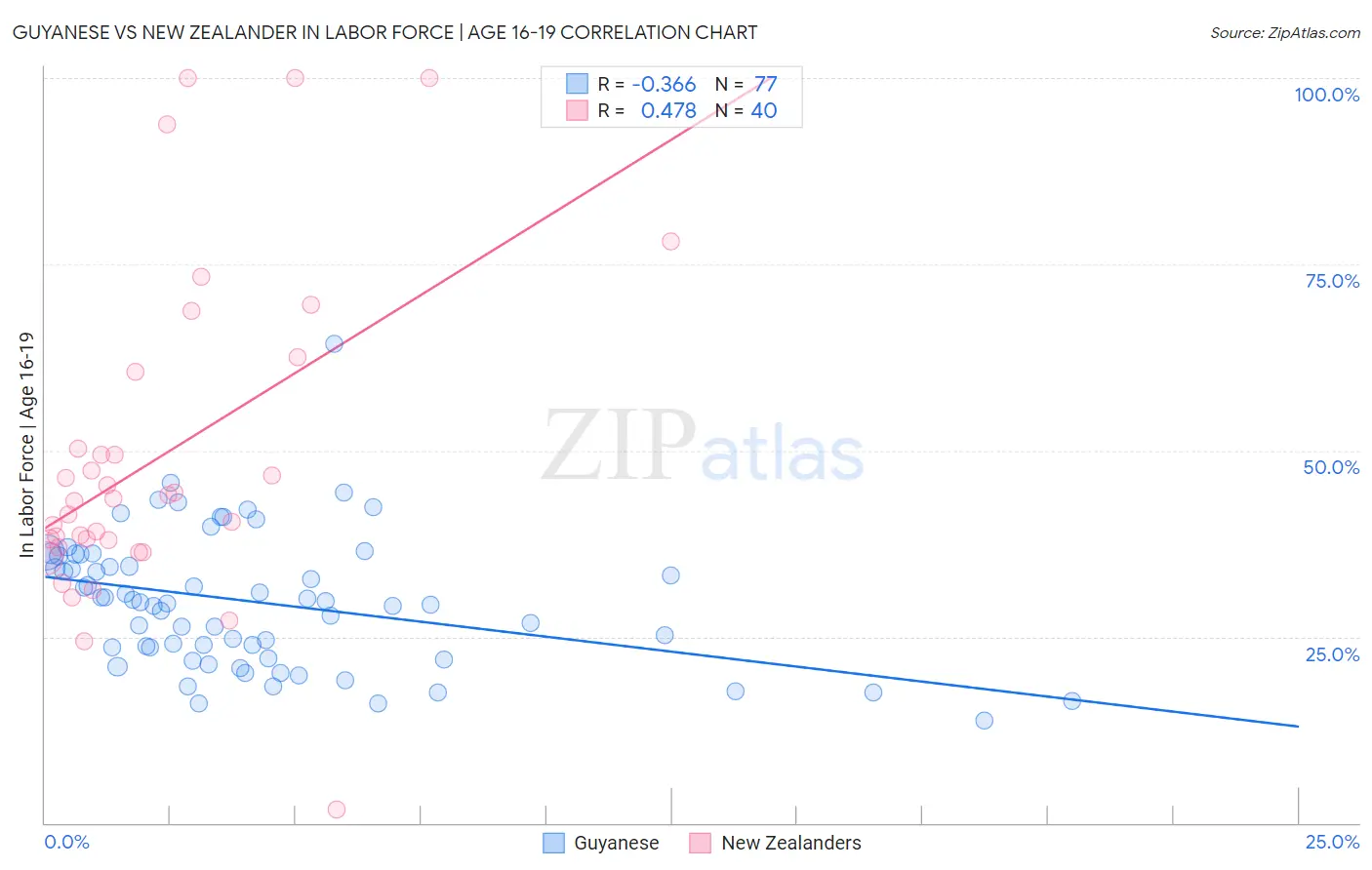 Guyanese vs New Zealander In Labor Force | Age 16-19