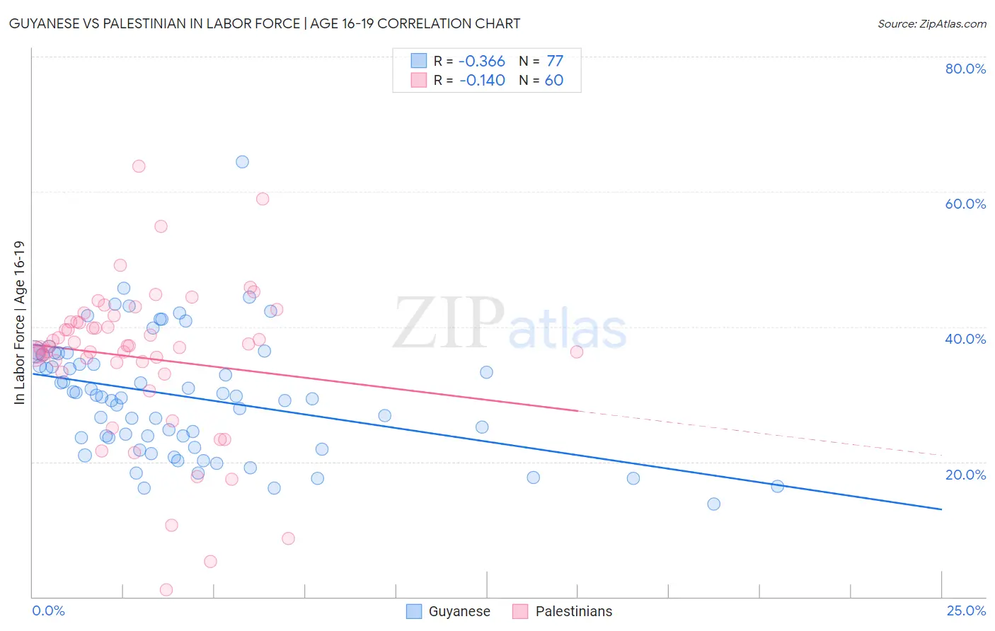 Guyanese vs Palestinian In Labor Force | Age 16-19