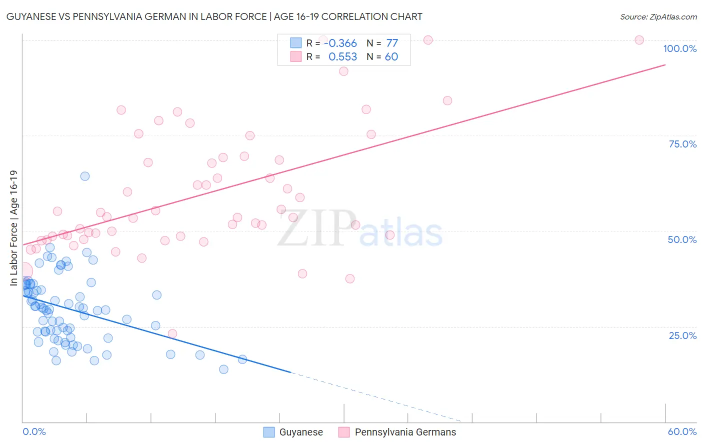 Guyanese vs Pennsylvania German In Labor Force | Age 16-19
