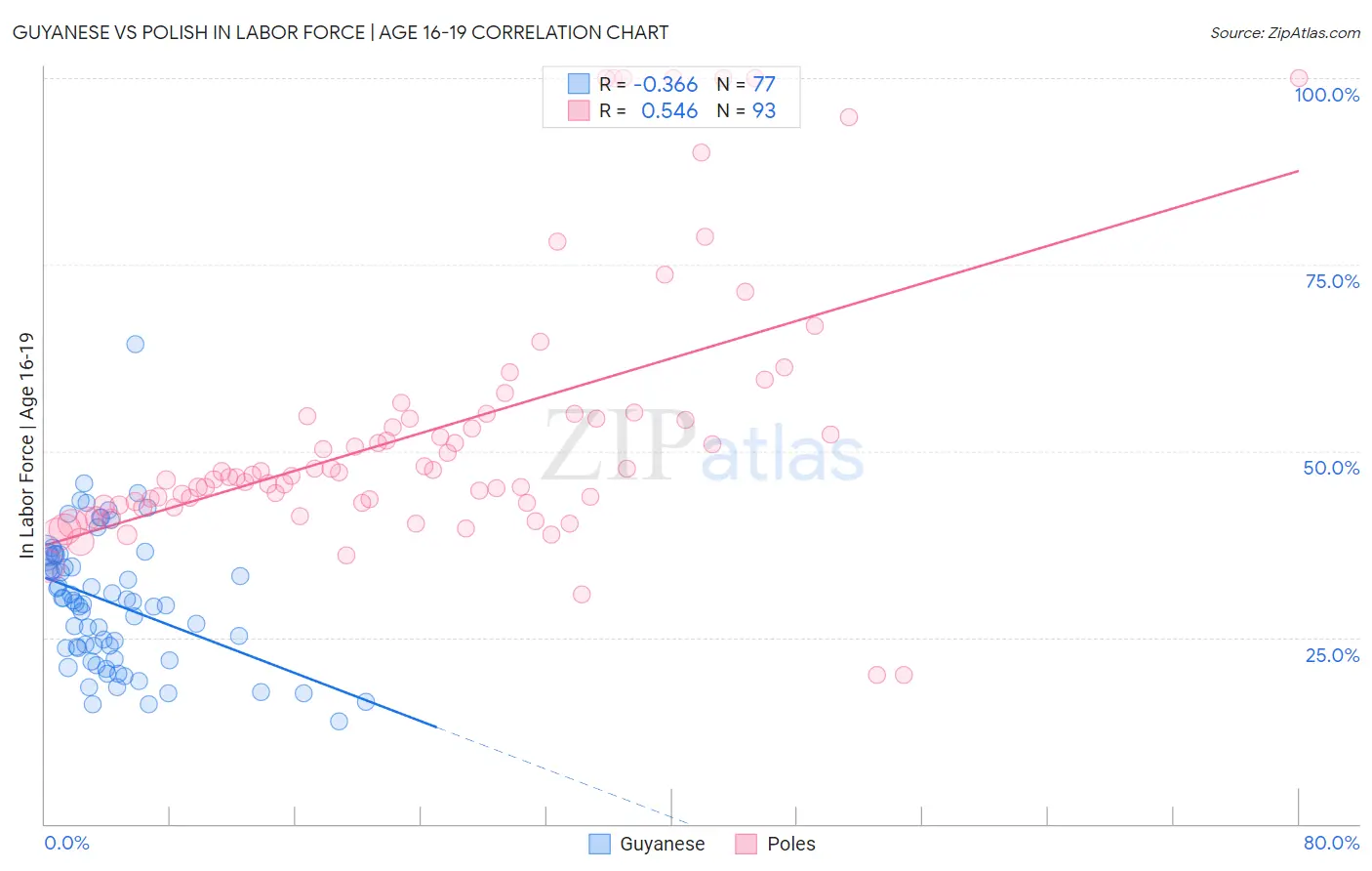 Guyanese vs Polish In Labor Force | Age 16-19