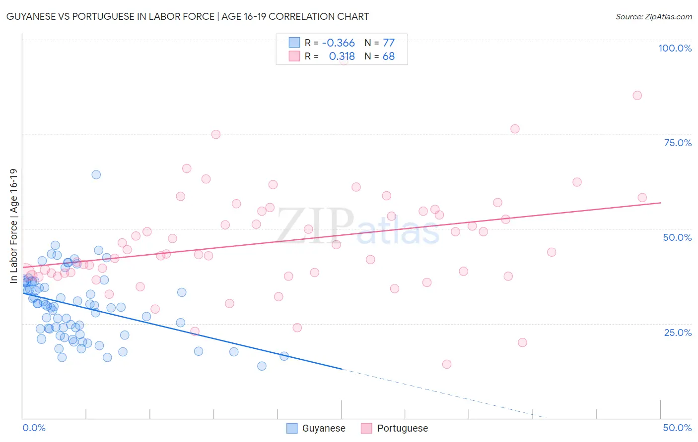 Guyanese vs Portuguese In Labor Force | Age 16-19