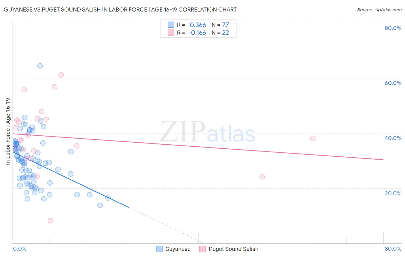 Guyanese vs Puget Sound Salish In Labor Force | Age 16-19