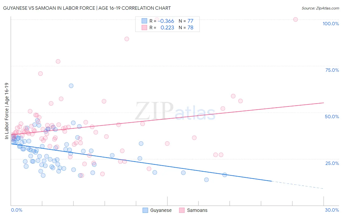 Guyanese vs Samoan In Labor Force | Age 16-19