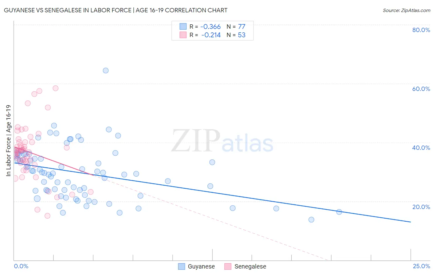 Guyanese vs Senegalese In Labor Force | Age 16-19