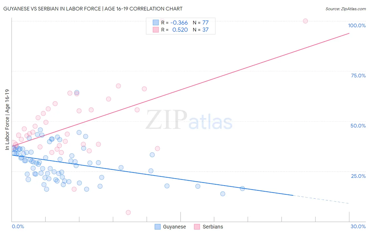 Guyanese vs Serbian In Labor Force | Age 16-19