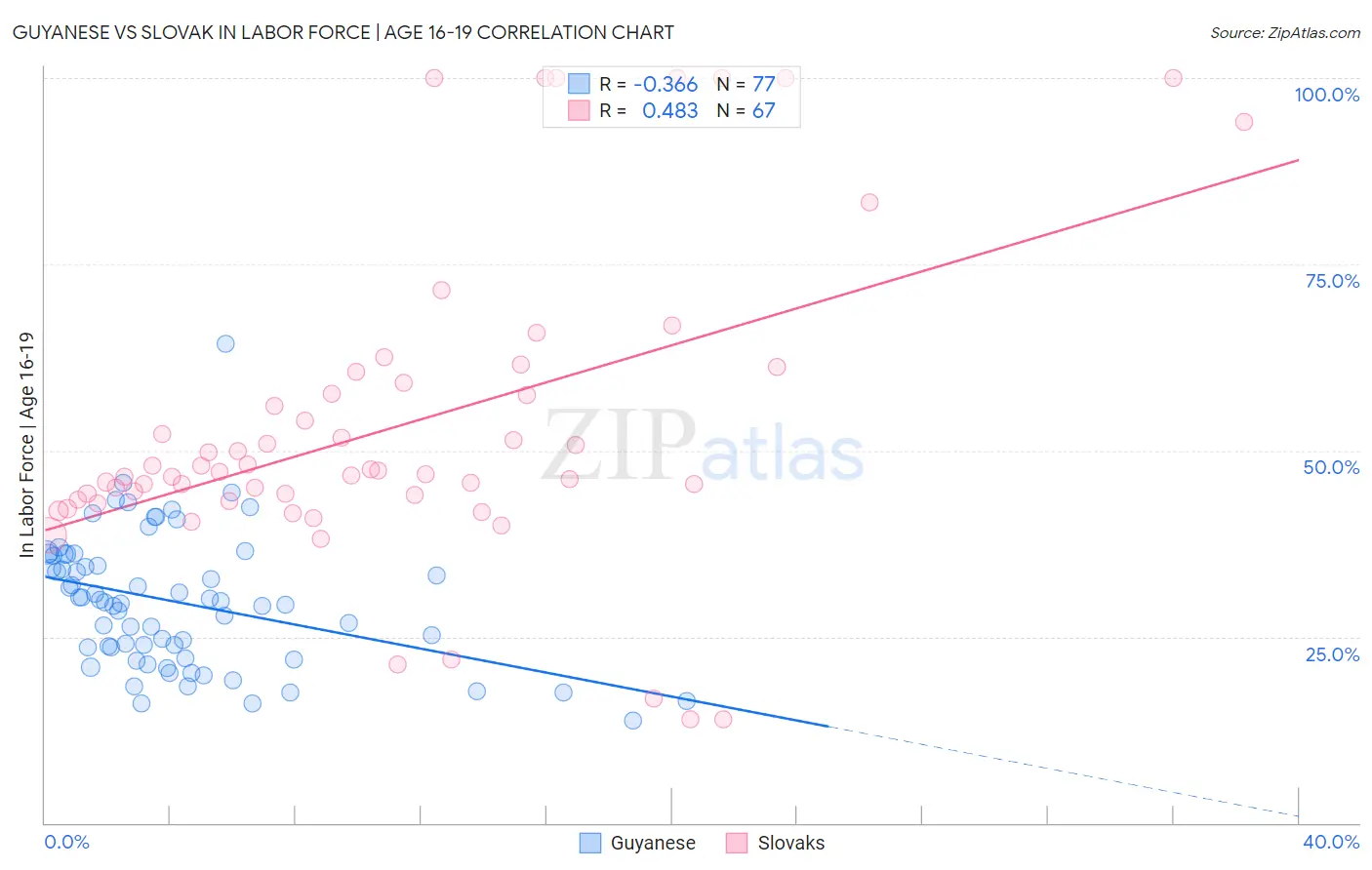 Guyanese vs Slovak In Labor Force | Age 16-19