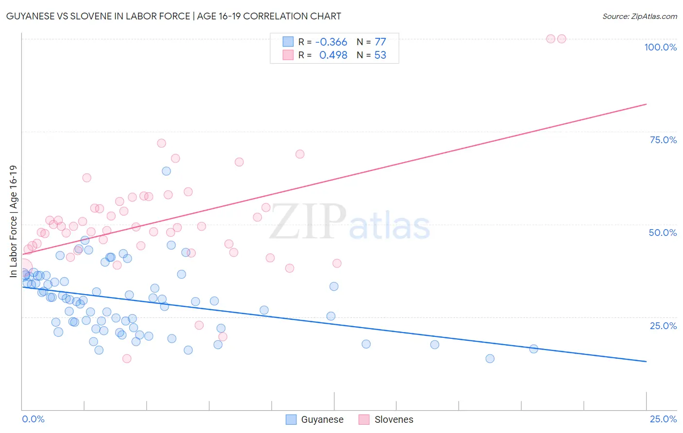 Guyanese vs Slovene In Labor Force | Age 16-19