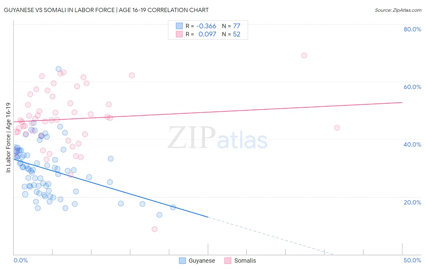 Guyanese vs Somali In Labor Force | Age 16-19
