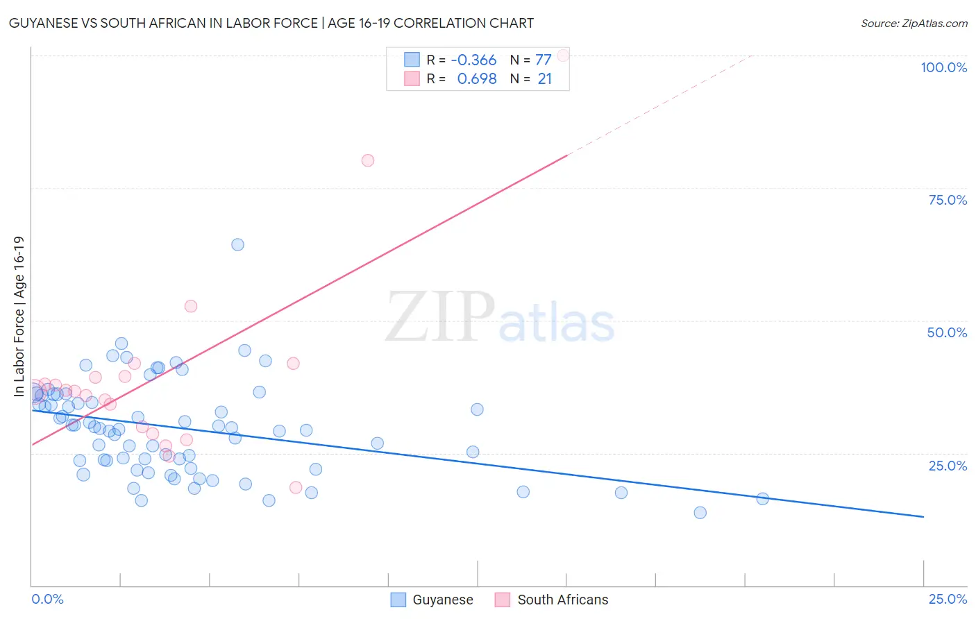 Guyanese vs South African In Labor Force | Age 16-19