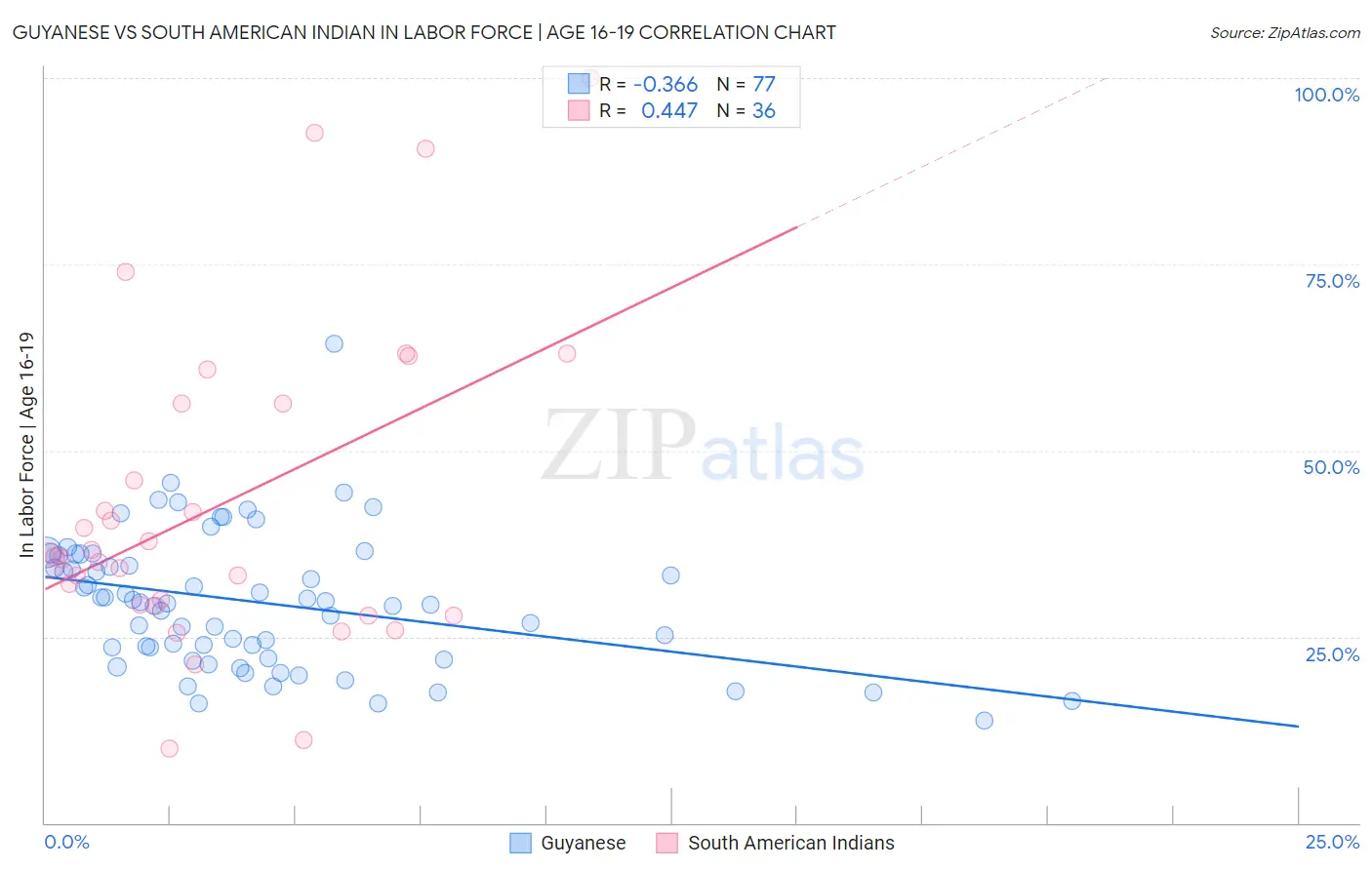 Guyanese vs South American Indian In Labor Force | Age 16-19