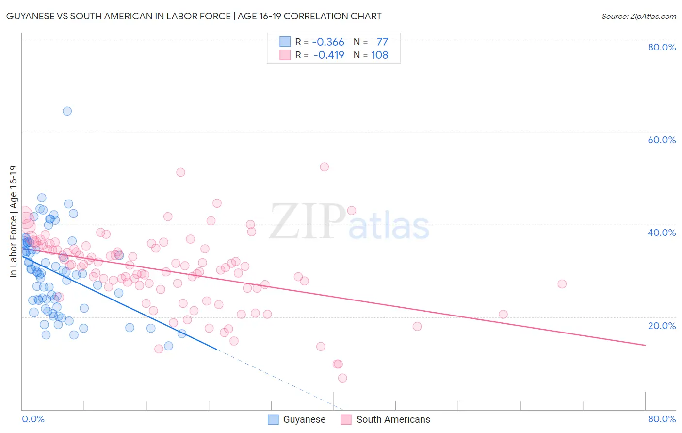 Guyanese vs South American In Labor Force | Age 16-19