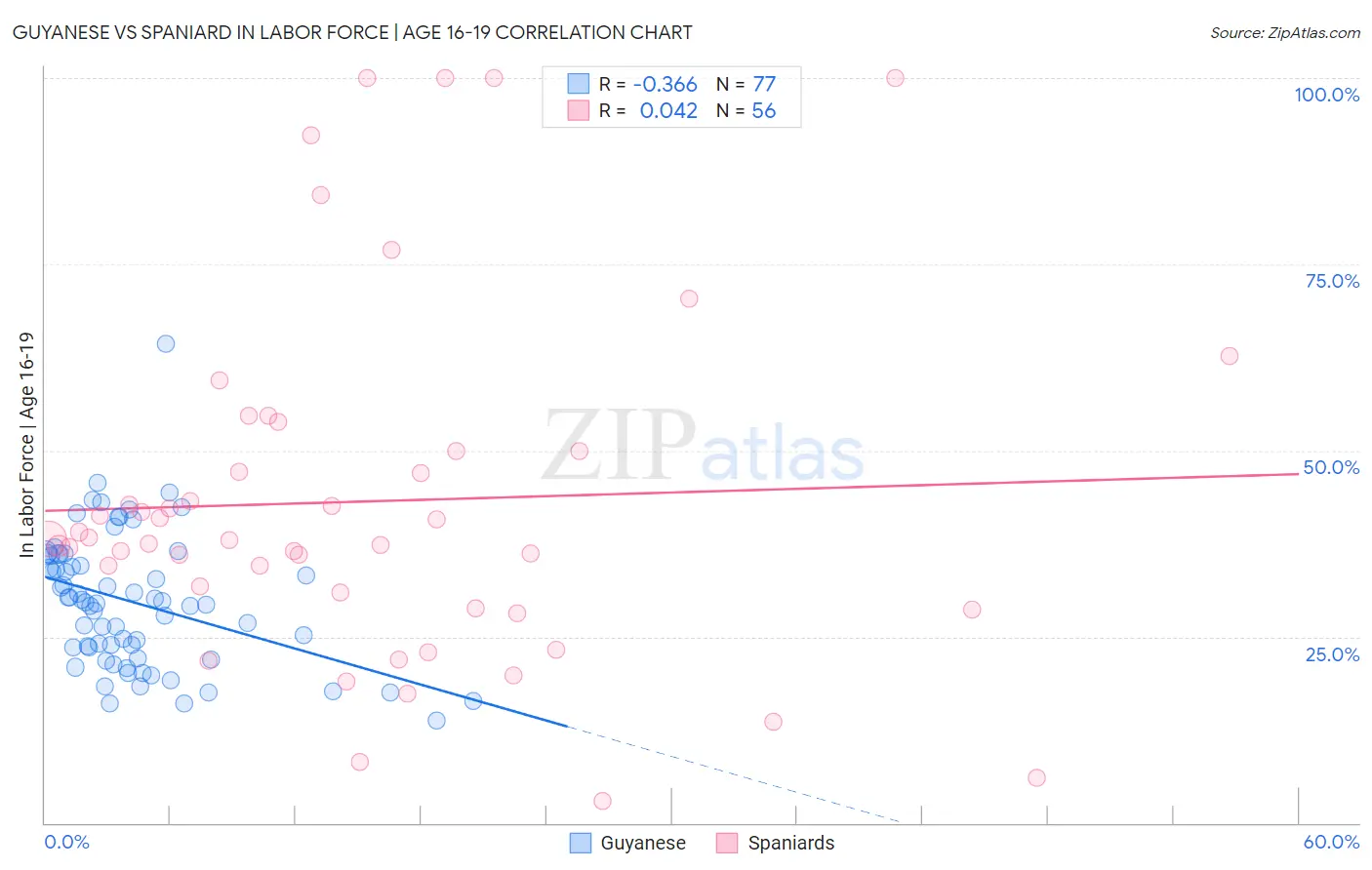 Guyanese vs Spaniard In Labor Force | Age 16-19
