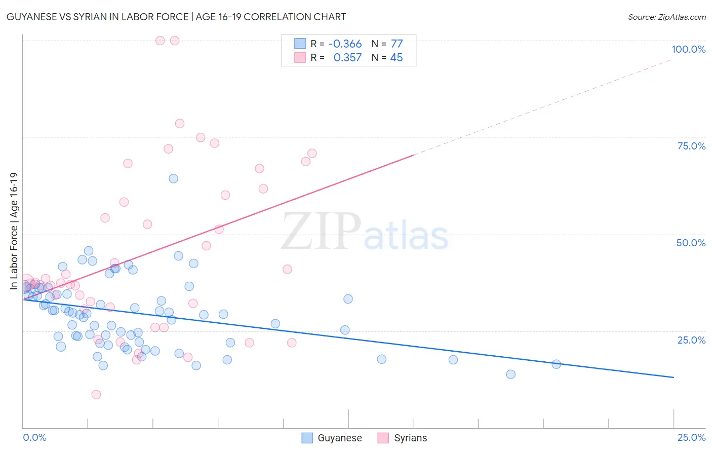 Guyanese vs Syrian In Labor Force | Age 16-19