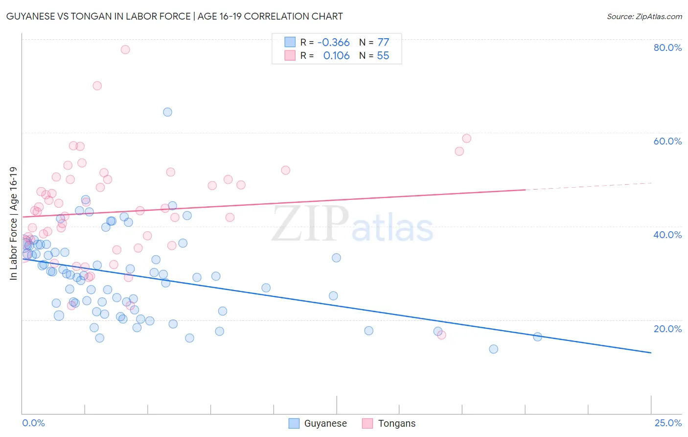 Guyanese vs Tongan In Labor Force | Age 16-19