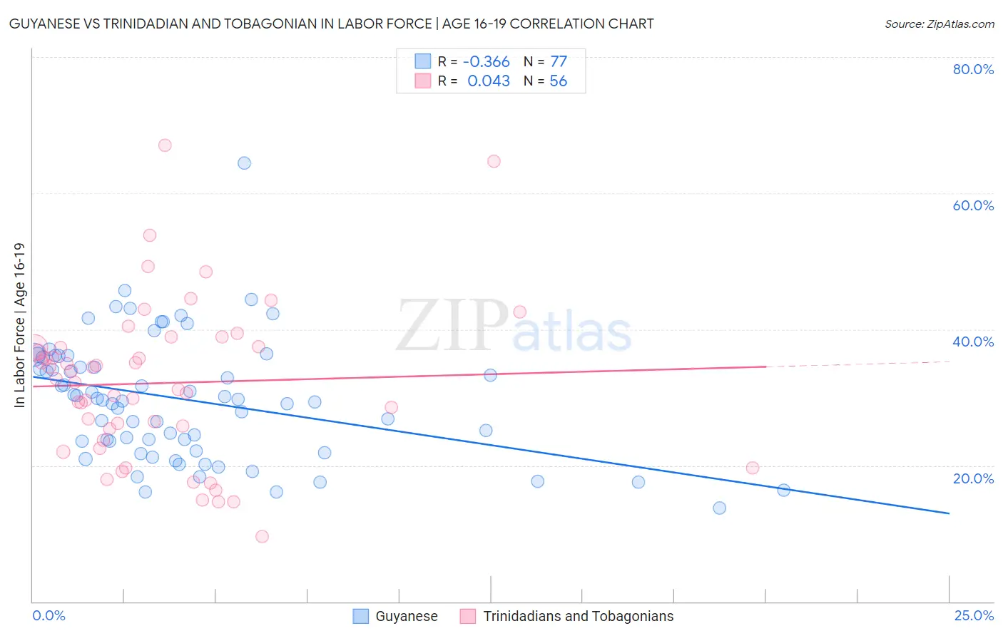 Guyanese vs Trinidadian and Tobagonian In Labor Force | Age 16-19