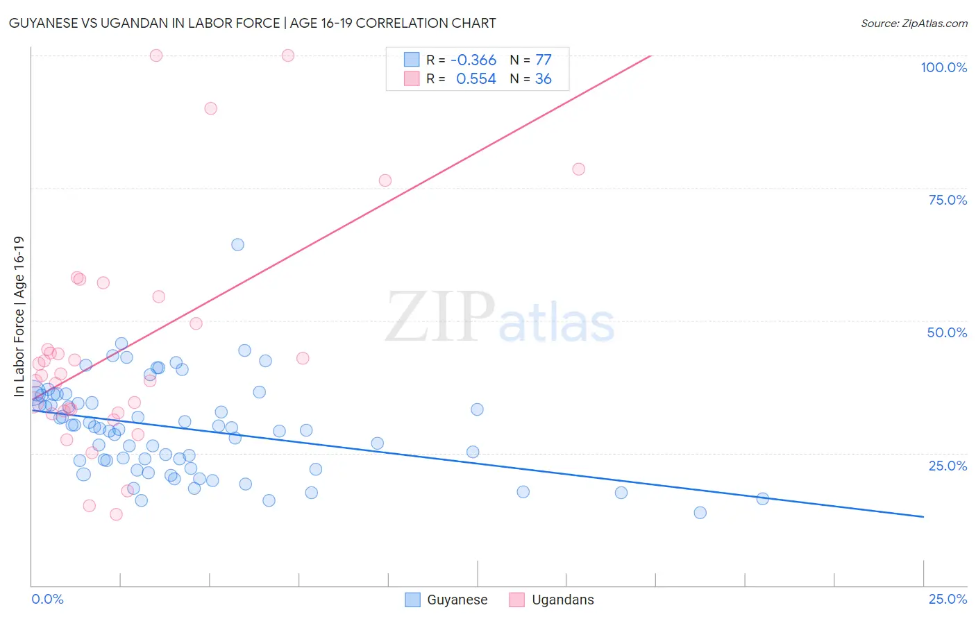 Guyanese vs Ugandan In Labor Force | Age 16-19