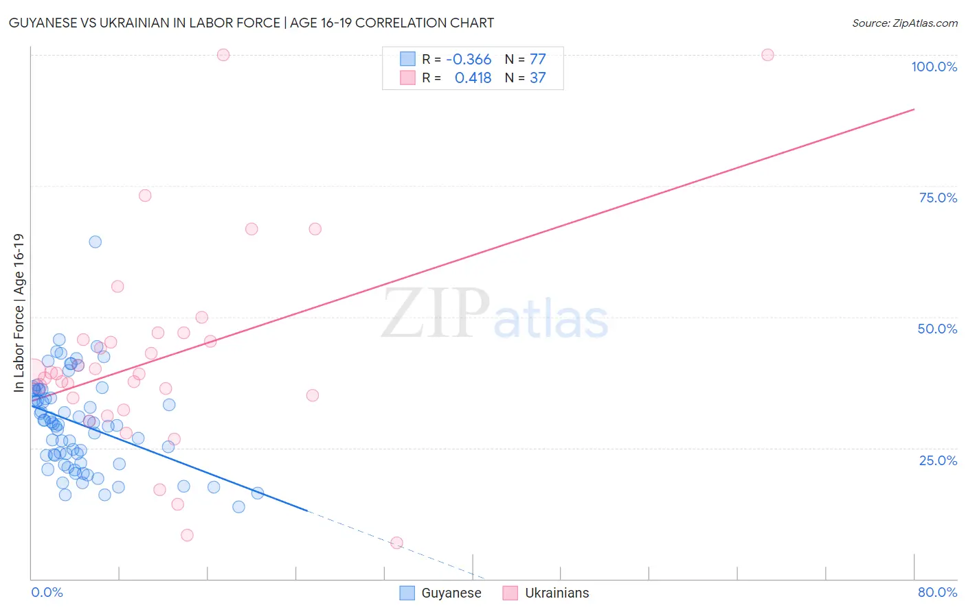 Guyanese vs Ukrainian In Labor Force | Age 16-19