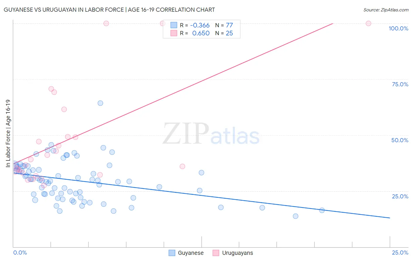 Guyanese vs Uruguayan In Labor Force | Age 16-19