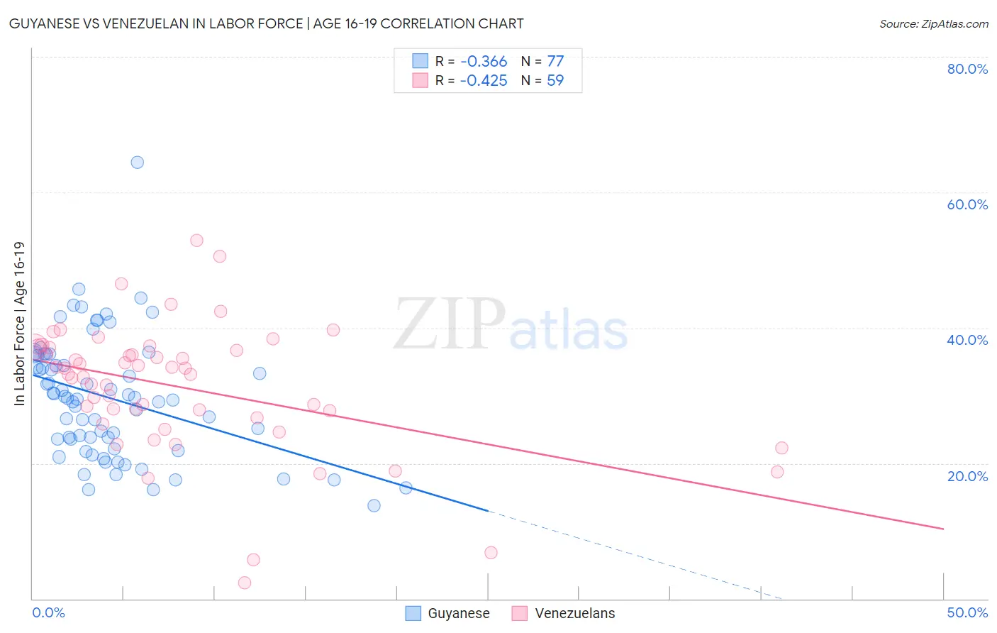 Guyanese vs Venezuelan In Labor Force | Age 16-19