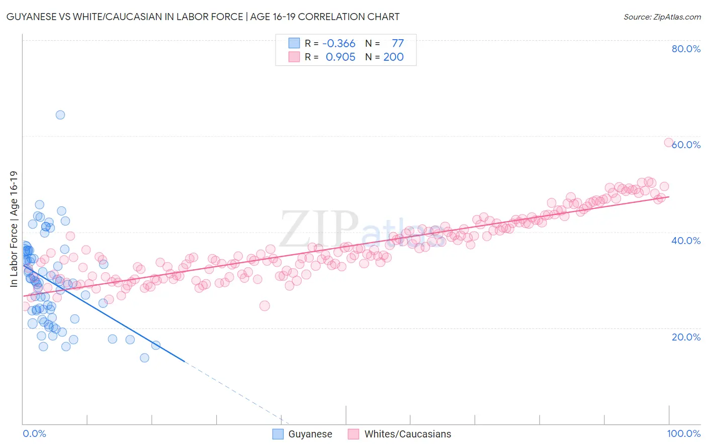 Guyanese vs White/Caucasian In Labor Force | Age 16-19
