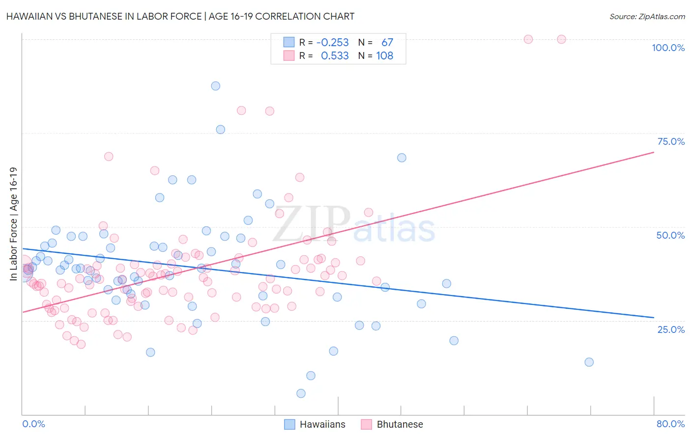 Hawaiian vs Bhutanese In Labor Force | Age 16-19
