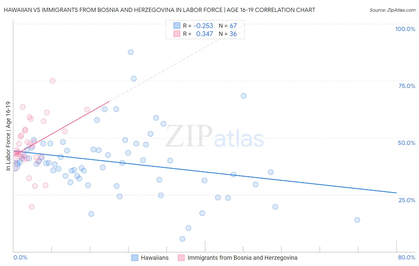 Hawaiian vs Immigrants from Bosnia and Herzegovina In Labor Force | Age 16-19