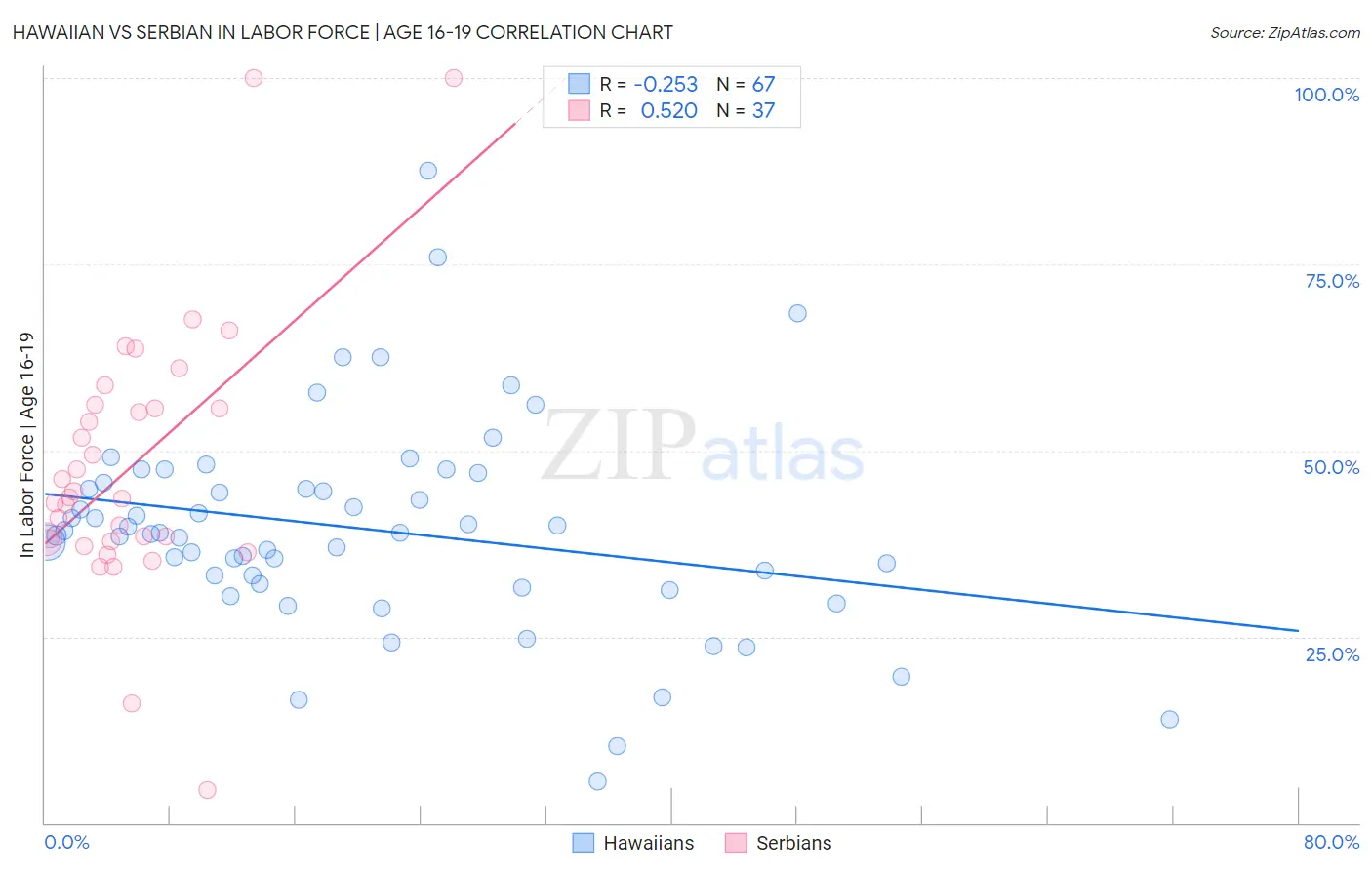 Hawaiian vs Serbian In Labor Force | Age 16-19