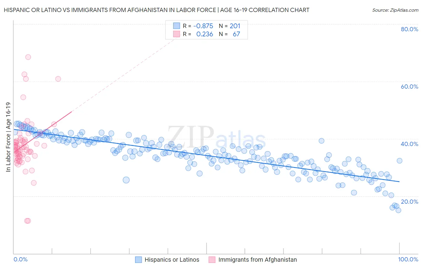 Hispanic or Latino vs Immigrants from Afghanistan In Labor Force | Age 16-19