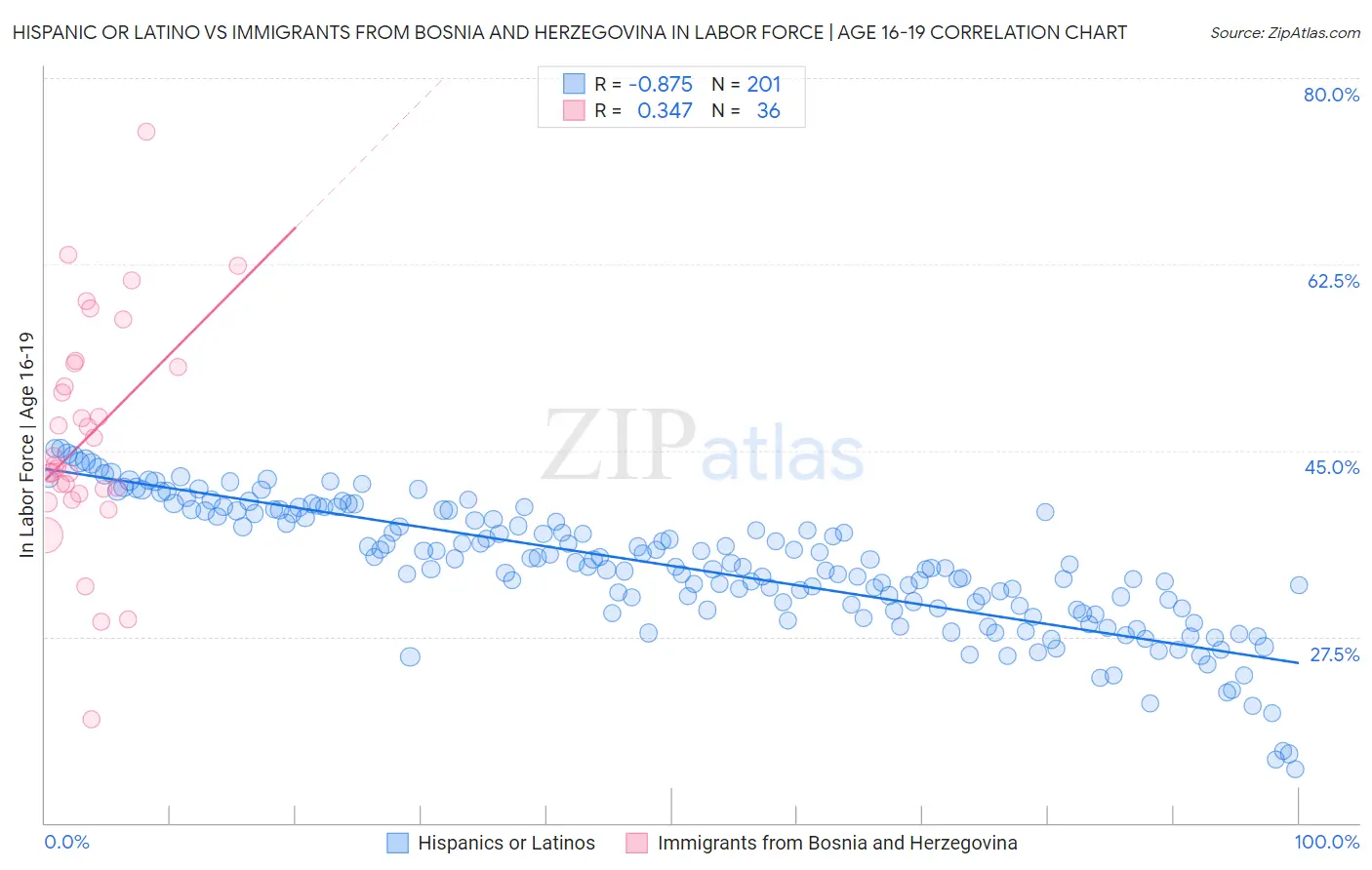 Hispanic or Latino vs Immigrants from Bosnia and Herzegovina In Labor Force | Age 16-19
