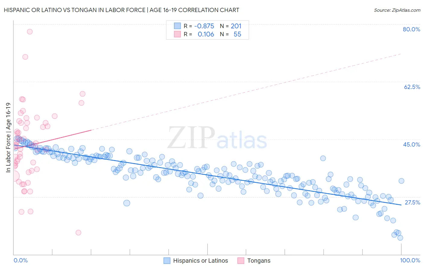 Hispanic or Latino vs Tongan In Labor Force | Age 16-19