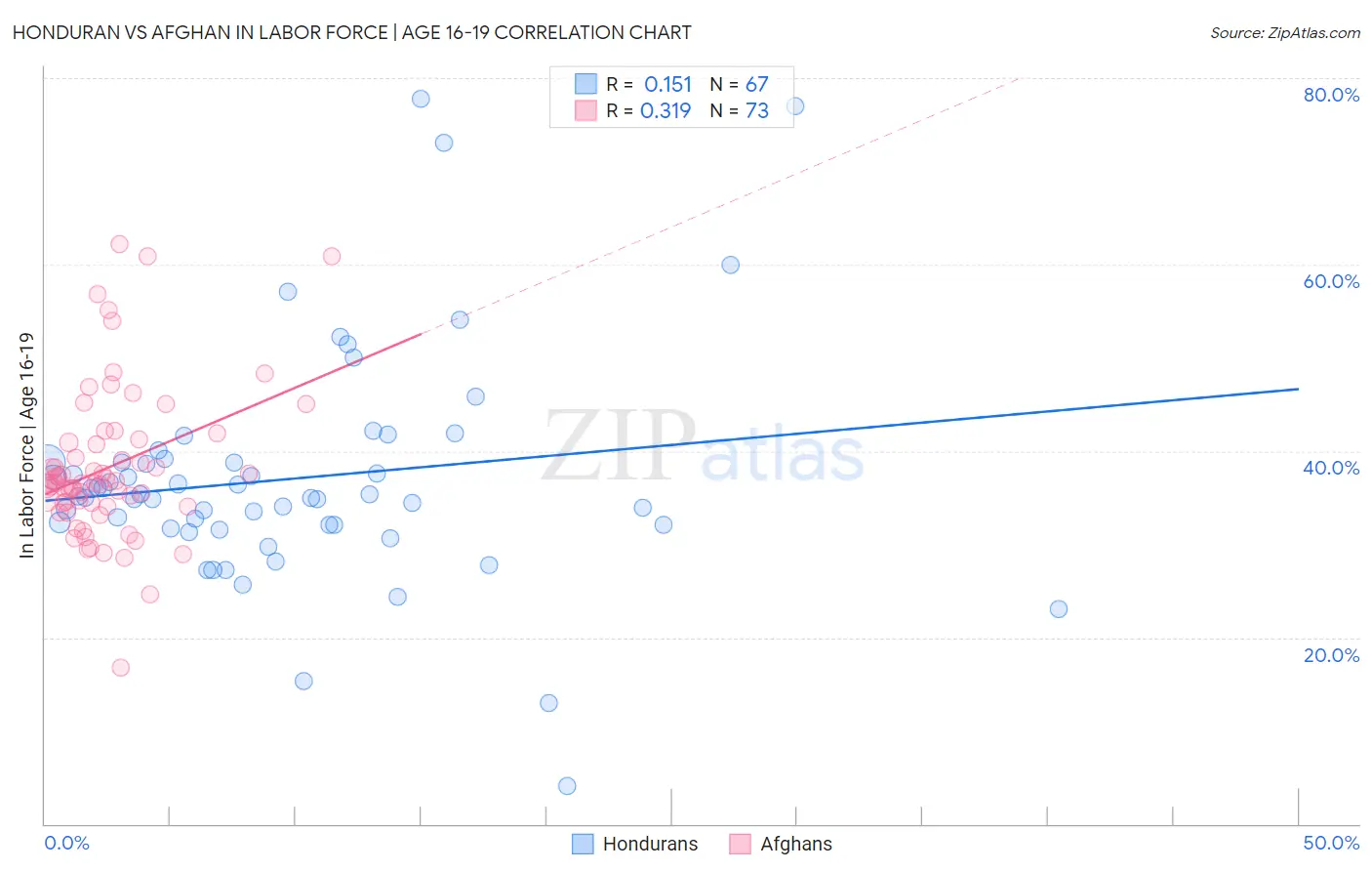 Honduran vs Afghan In Labor Force | Age 16-19