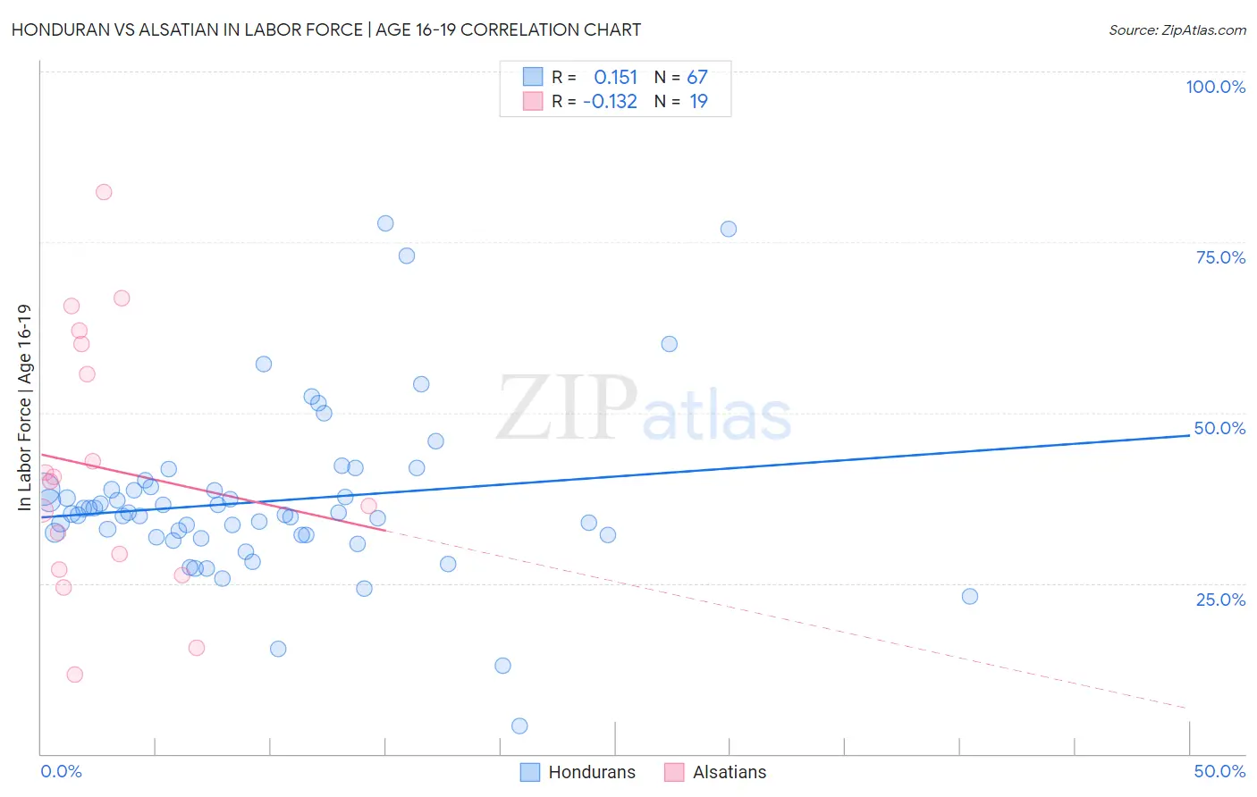 Honduran vs Alsatian In Labor Force | Age 16-19