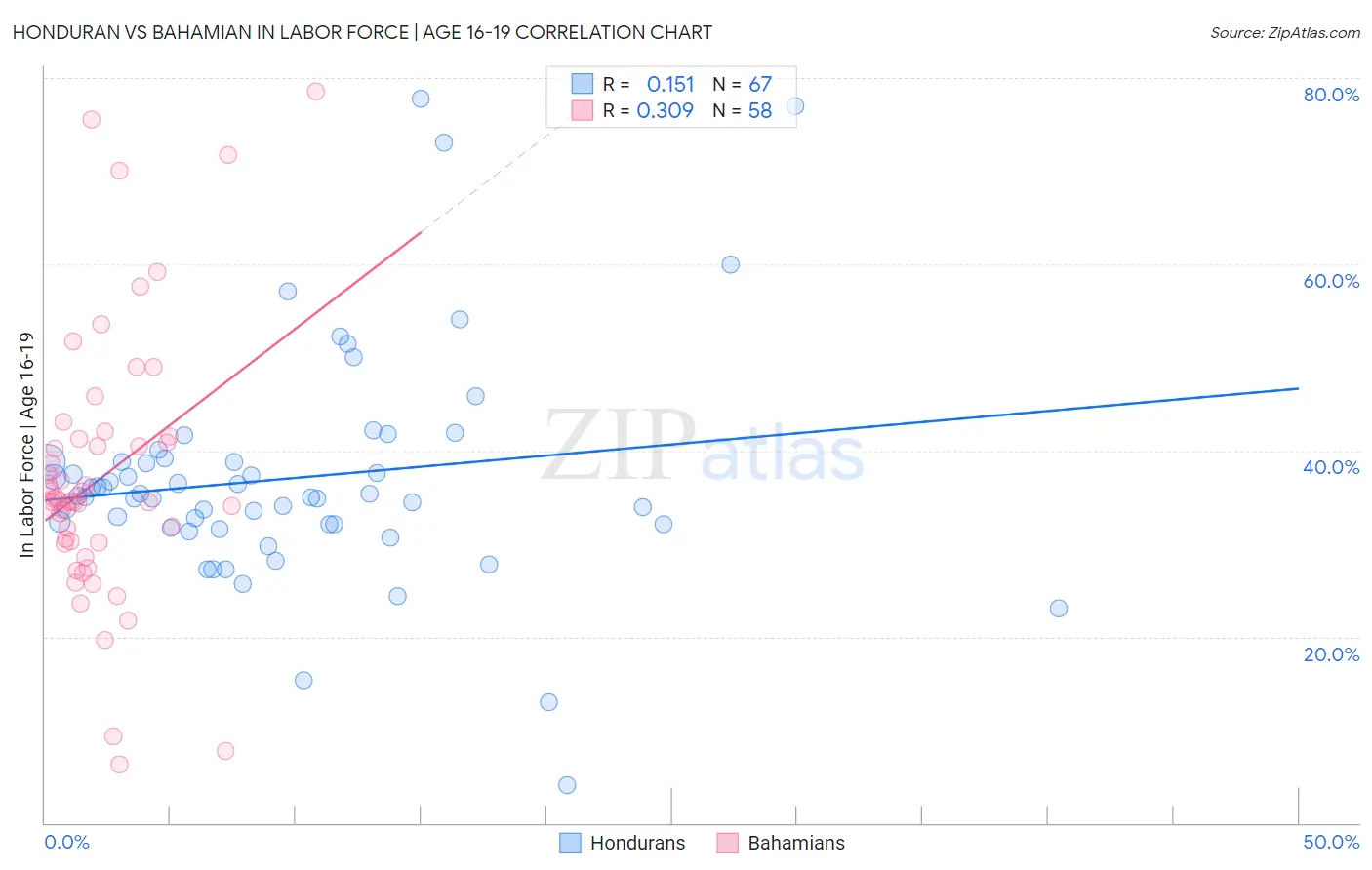 Honduran vs Bahamian In Labor Force | Age 16-19