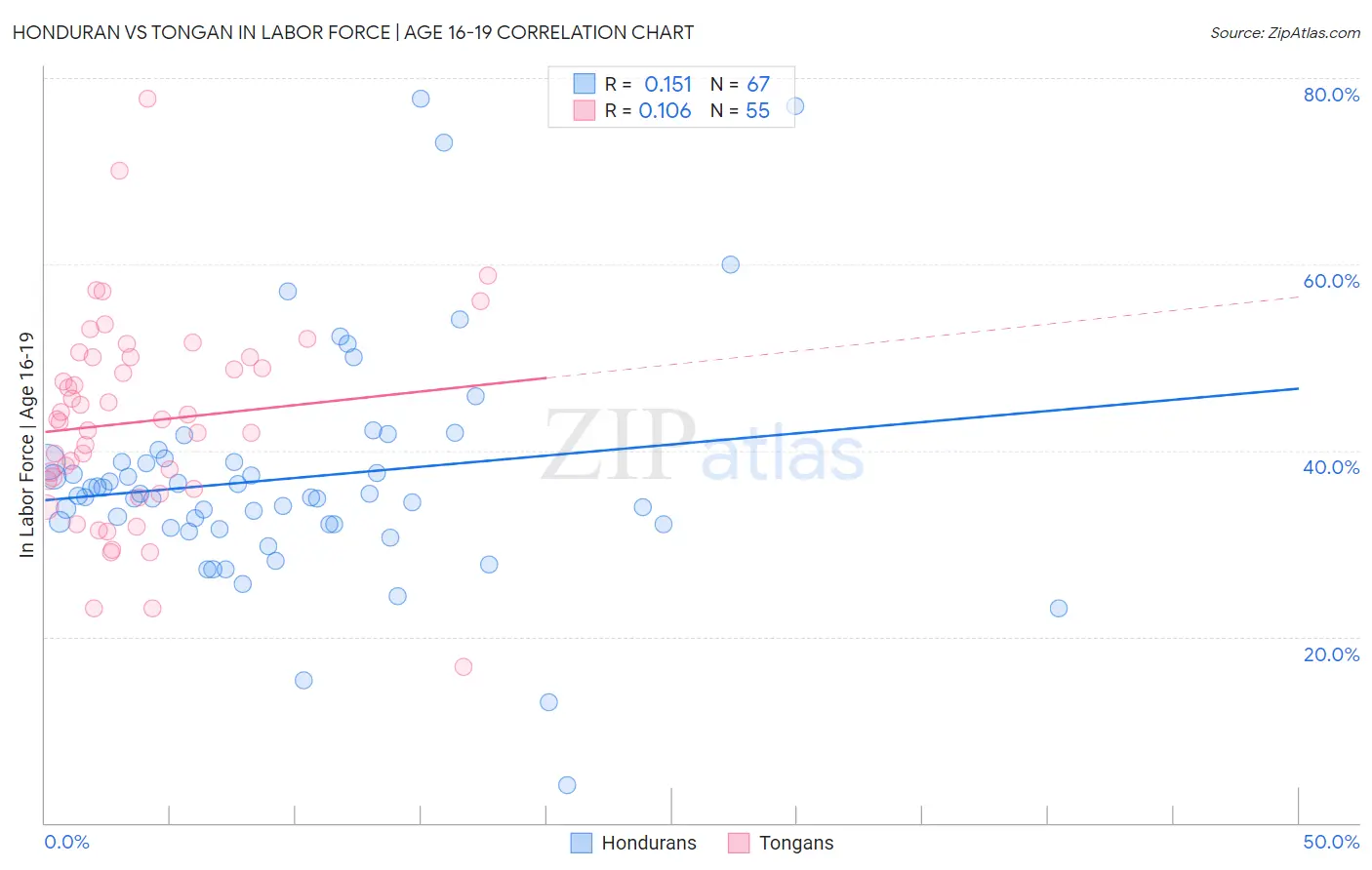 Honduran vs Tongan In Labor Force | Age 16-19