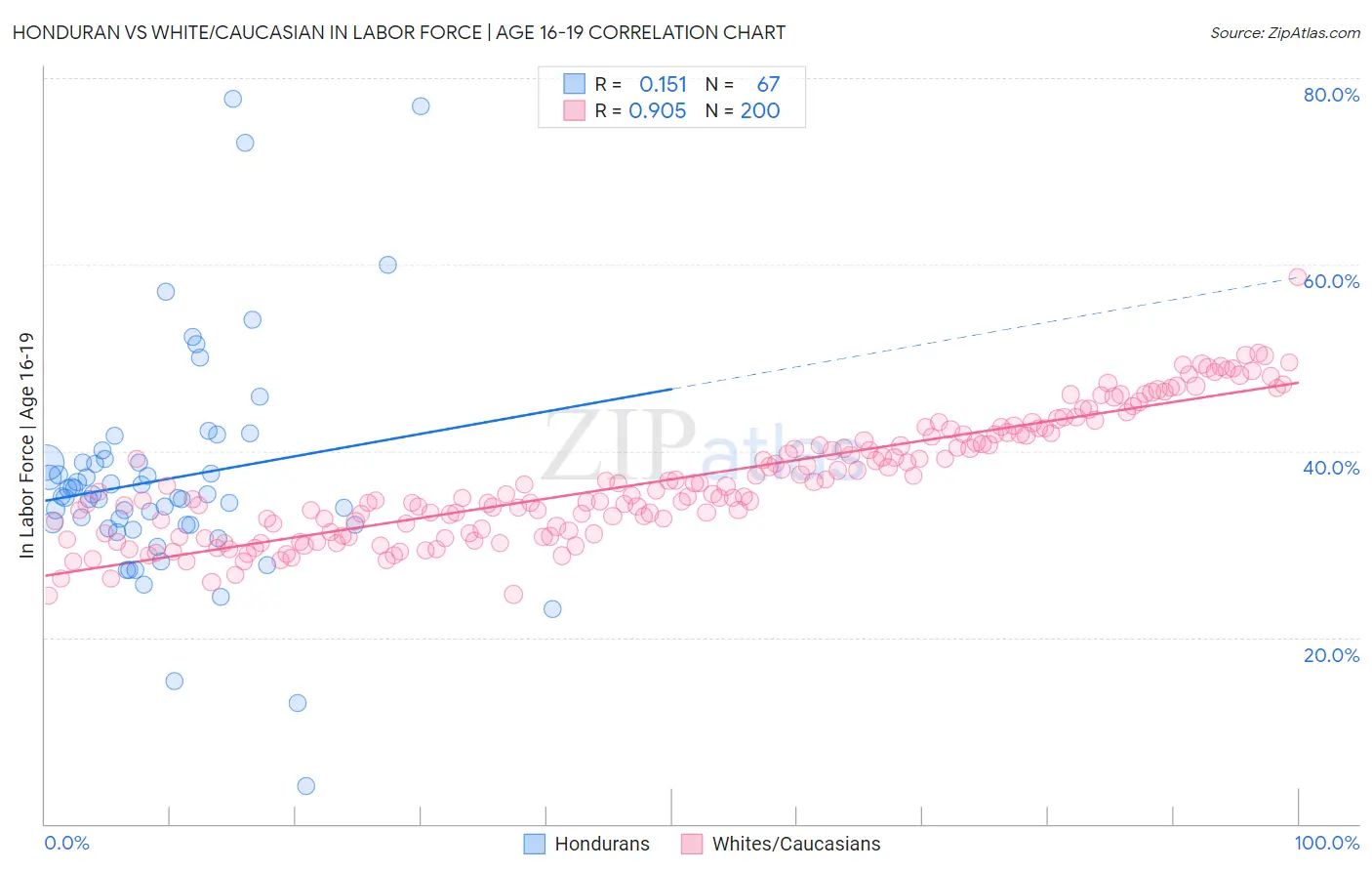 Honduran vs White/Caucasian In Labor Force | Age 16-19