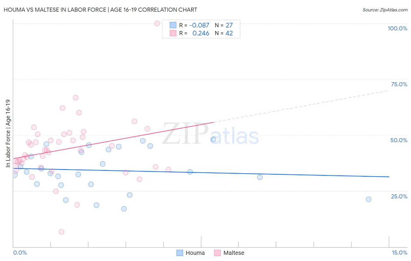 Houma vs Maltese In Labor Force | Age 16-19