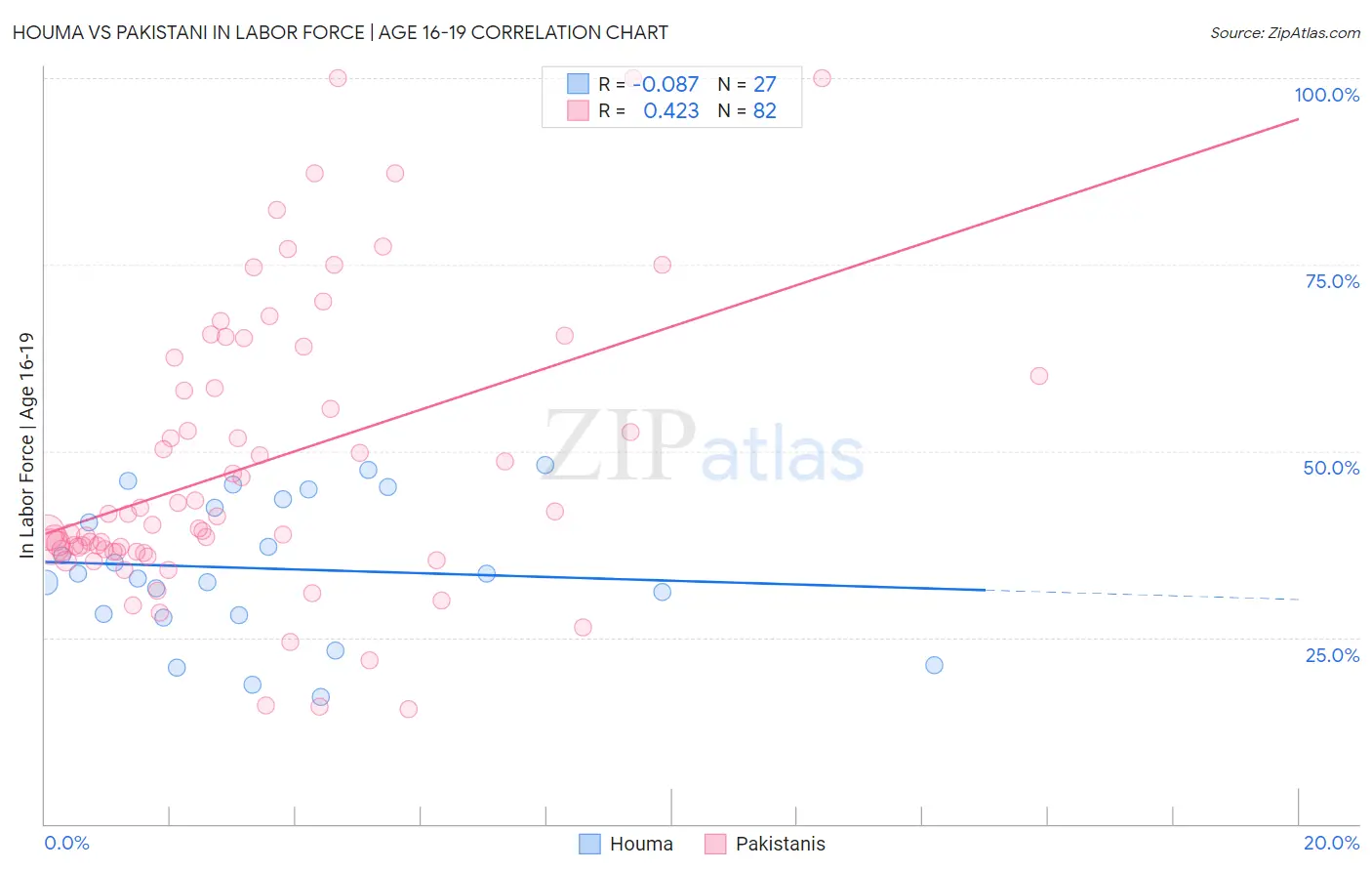 Houma vs Pakistani In Labor Force | Age 16-19