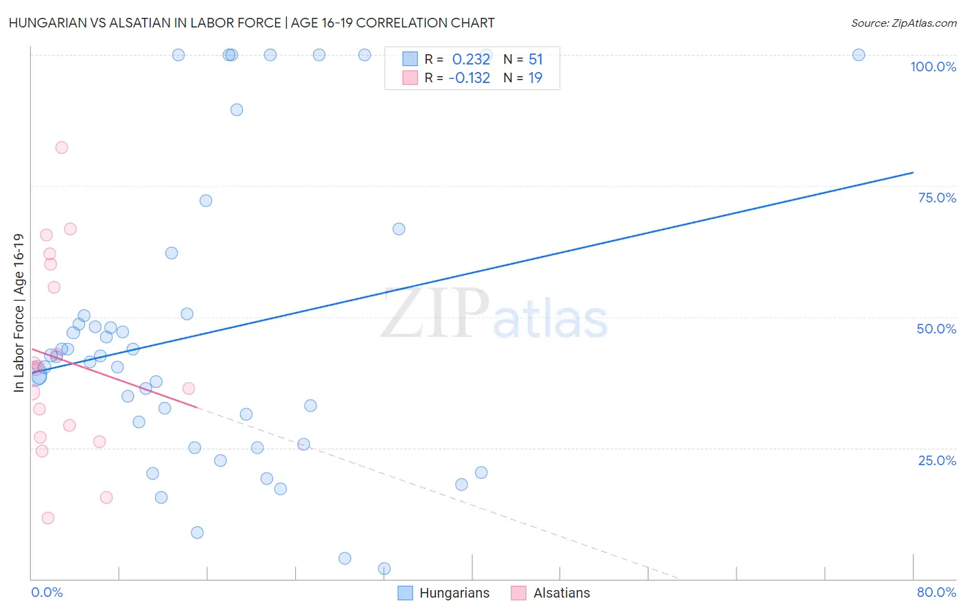 Hungarian vs Alsatian In Labor Force | Age 16-19