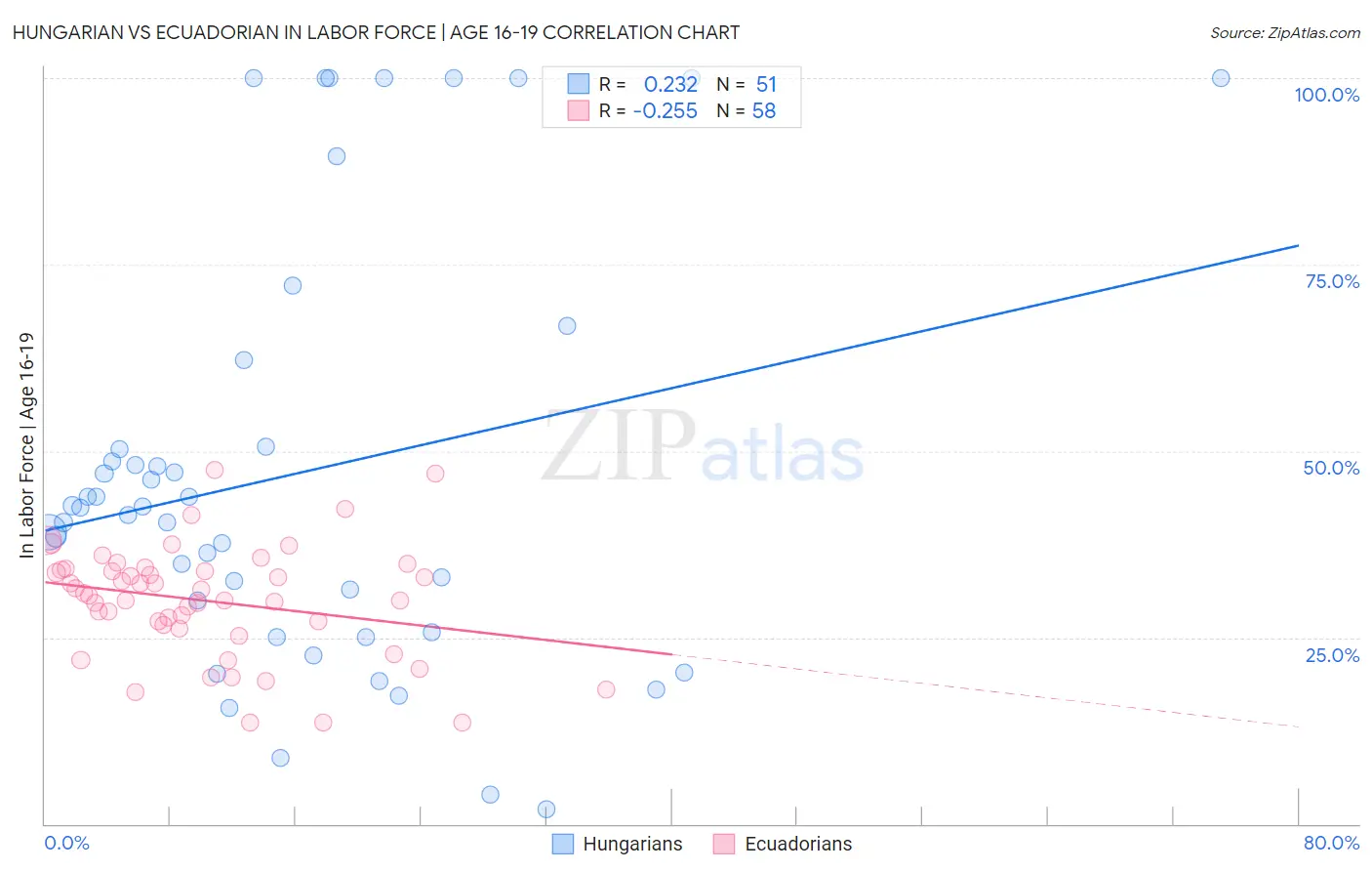 Hungarian vs Ecuadorian In Labor Force | Age 16-19