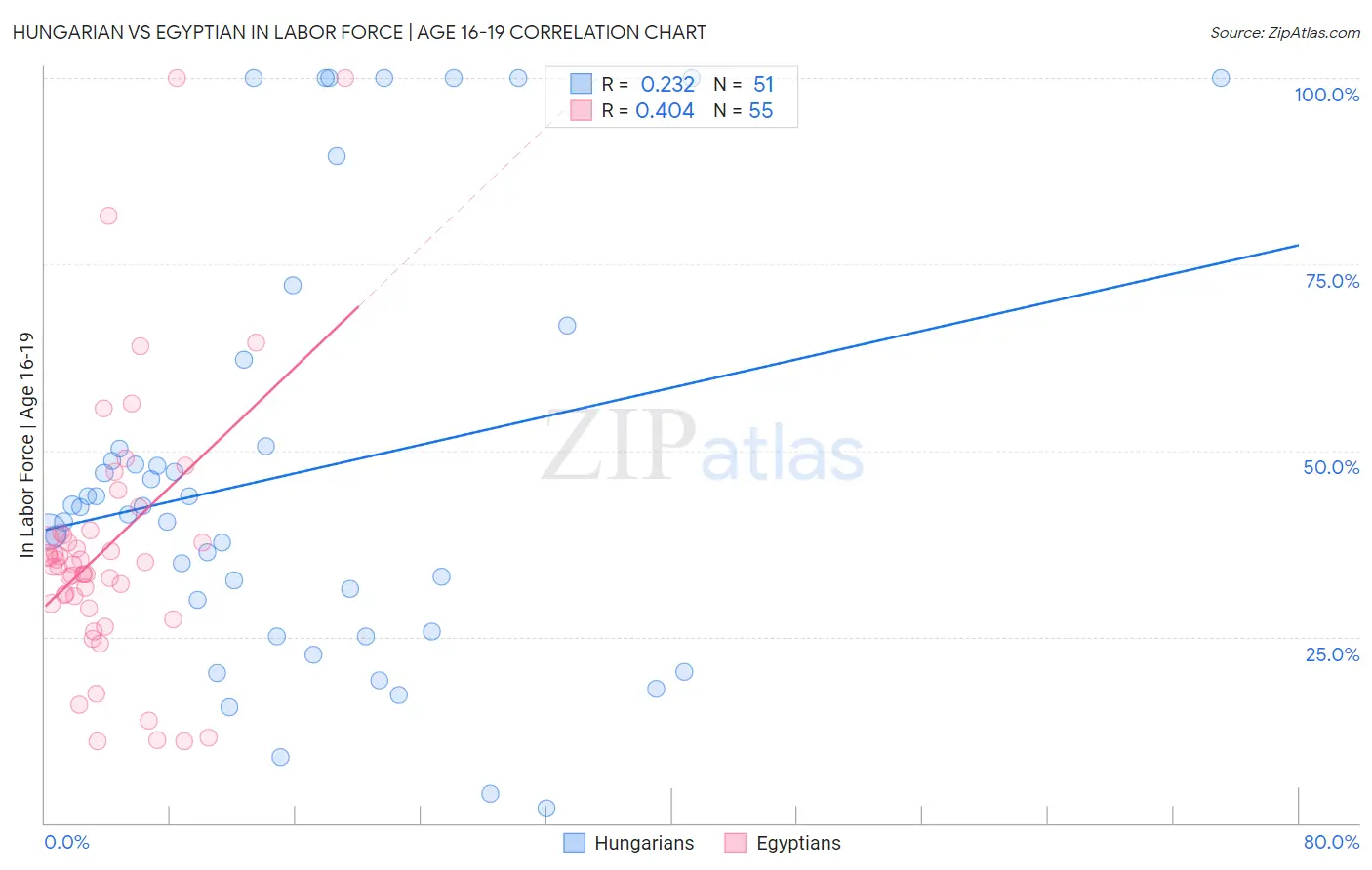 Hungarian vs Egyptian In Labor Force | Age 16-19