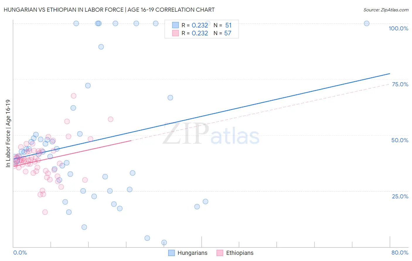 Hungarian vs Ethiopian In Labor Force | Age 16-19