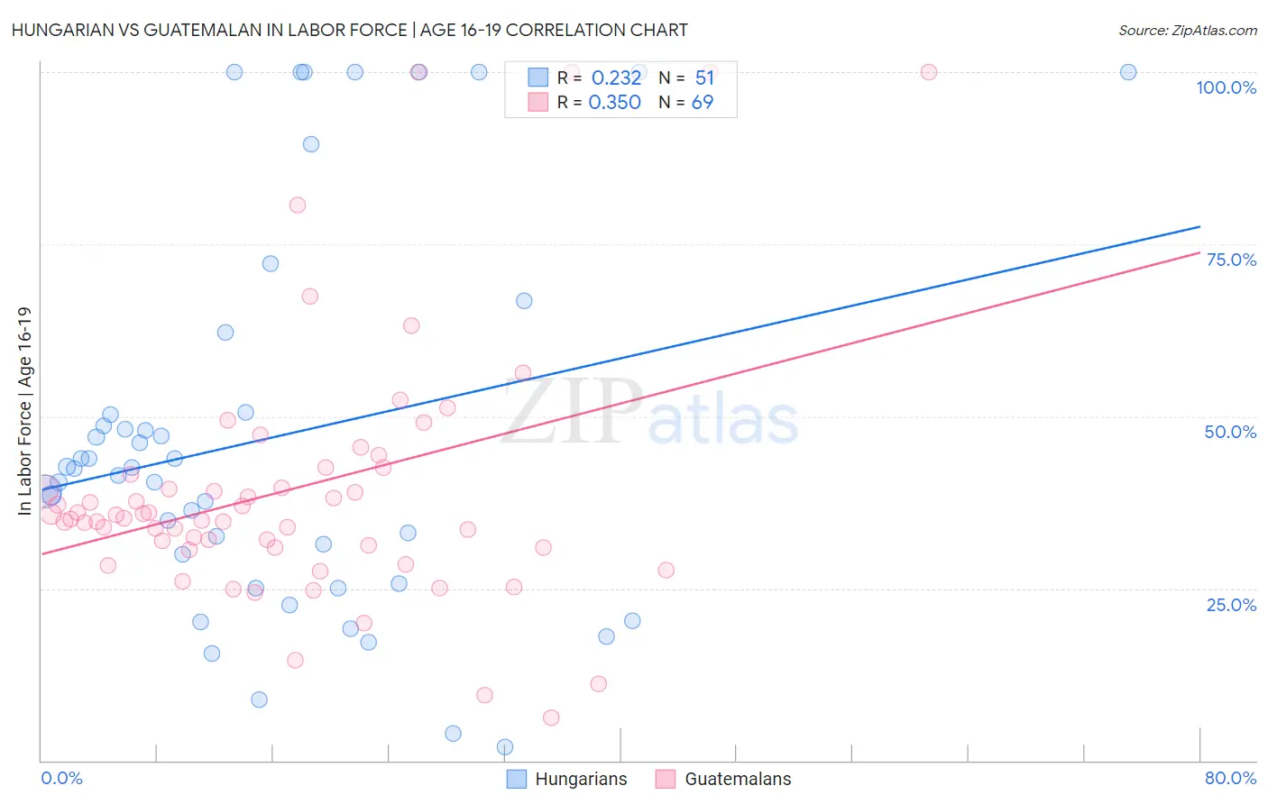 Hungarian vs Guatemalan In Labor Force | Age 16-19