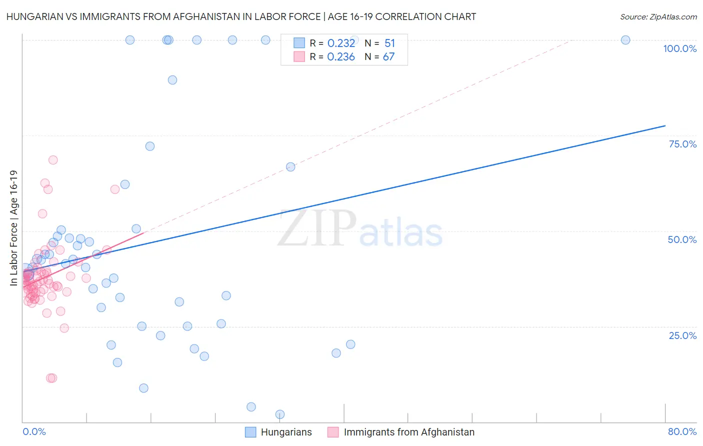 Hungarian vs Immigrants from Afghanistan In Labor Force | Age 16-19