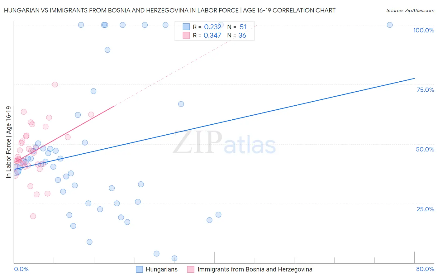 Hungarian vs Immigrants from Bosnia and Herzegovina In Labor Force | Age 16-19